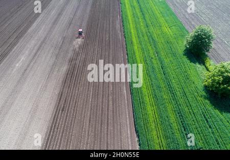 Luftbild des Schlepperhubfeldes mit Jungpflanzen im Frühjahr, aufgenommen von der Drohne Stockfoto