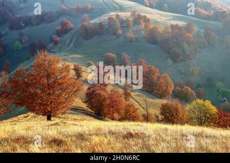 Herbstlandschaft am sonnigen Tag. An den hohen Bergen gibt es schöne orangefarbene Bäume auf der großen Wiese. Fantastische Landschaft. Der Ort des Touristen Stockfoto