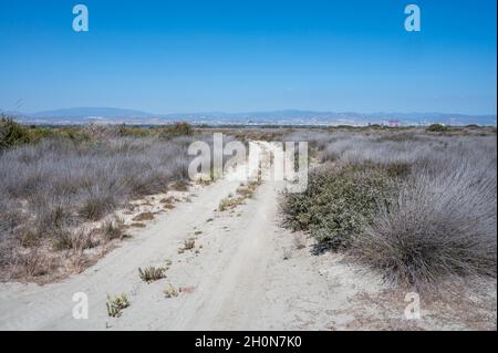 Zu Fuß zum Limassol Salzsee, sonnengetrocknetes Gras und Blick auf Limassol am Horizont in suny Tag Stockfoto