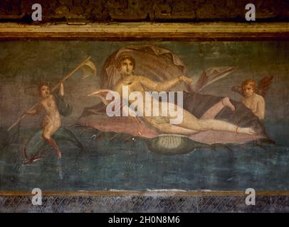 Italien, Pompeji. Fresko mit der Darstellung der Venus in einem Seeschell mit Kupiden. Es schmückte die Gartenwände des Hauses der Venus, 1. Jahrhundert n. Chr. Stockfoto