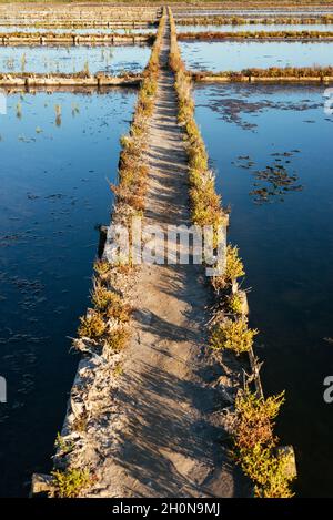 Nahaufnahme von Salzflächen im Wasser. Stockfoto