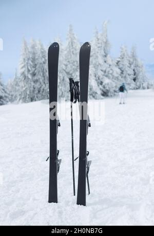 Ein Paar Skier und Stöcke, die im Schnee stecken, mit weißen Tannen im Hintergrund. Wintersport- und Urlaubskonzept Stockfoto