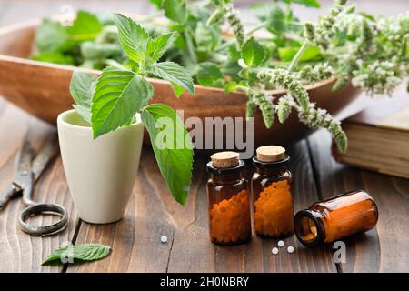 Flaschen mit Homöopathie-Granulat. Homöopathische Mittel. Mentha piperita Heilmittel. Minzblätter, Pfefferminzpflanzen auf dem Tisch. Konzept der Homöopathie. Stockfoto