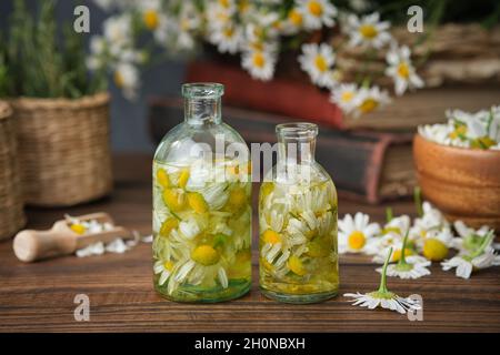 Flaschen mit ätherischem Kamillenöl oder Infusion, gerupfte Gänseblümchen, alte Bücher, ein Haufen Kamille und eine Schüssel mit Gänseblümchen auf dem Hintergrund. Abwechseln Stockfoto