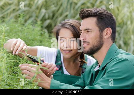 Porträt von Landschaftsgärtnern, die im Garten arbeiten Stockfoto