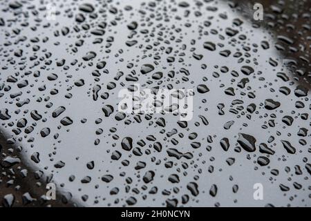 Wasser tropft nach Regen auf schwarzem metallischem Hintergrund. Stockfoto