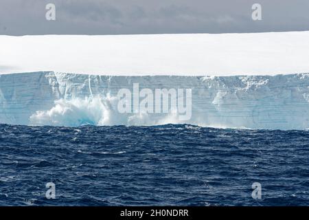 Tabellarischer Eisberg, der ins Meer kalbt. Südlicher Ozean, Antarktis Stockfoto