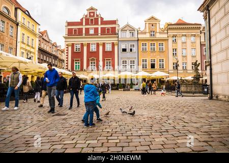 POZNAN, POLEN - 19. Sep 2021: Aktive kleine Jungen füttern Tauben auf dem alten Stadtplatz in Poznan, Polen Stockfoto