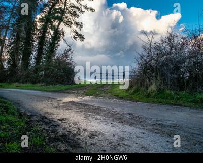 Nach einem Sturm, als die Regenwolken klar, ein Tor, das in ein Feld mit großen Cumulus Wolke dahinter und Wetter schlug Bäume säumen die nasse Straße in der Stockfoto