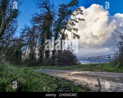 Nach einem Sturm, als die Regenwolken klar, ein Tor, das in ein Feld mit großen Cumulus Wolke dahinter und Wetter schlug Bäume säumen die nasse Straße in der Stockfoto