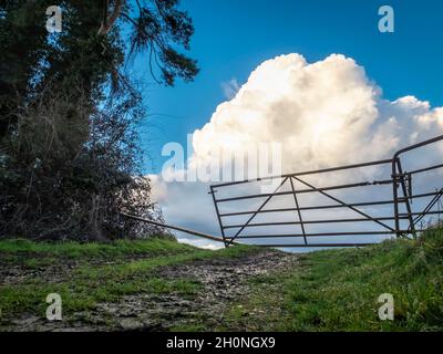 Nach einem Sturm, als die Regenwolken klar, ein Tor, das in ein Feld mit großen Cumulus Wolke dahinter und Wetter schlug Bäume säumen die nasse Straße in der Stockfoto