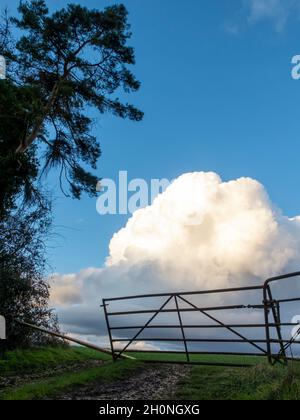 Nach einem Sturm, als die Regenwolken klar, ein Tor, das in ein Feld mit großen Cumulus Wolke dahinter und Wetter schlug Bäume säumen die nasse Straße in der Stockfoto