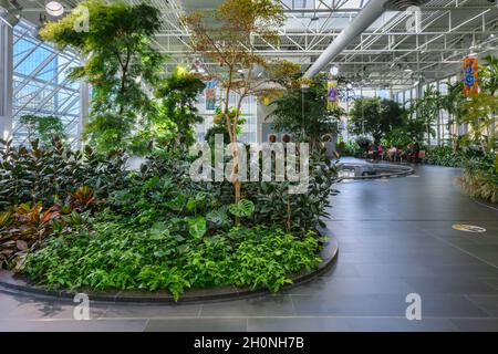 Calgary, Alberta, Kanada - 27. September 2021: Devonian Gardens im Core Shopping Center im Zentrum von Calgary Stockfoto