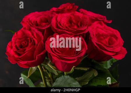 Strauß roter Rosen auf dunklem Hintergrund. Grußkarte zum Valentinstag, Frauentag. Urlaubskonzept. Stockfoto