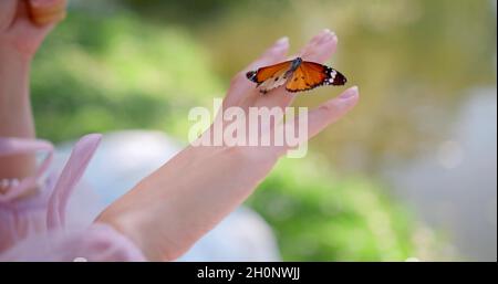 Ein Schmetterling auf der Hand einer Frau Stockfoto