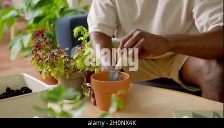 Hände eines Mannes, der im Garten arbeitet Stockfoto