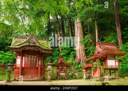 Nara, Japan - 01. Juli 2019: Kleine Schreine umgeben von Wäldern auf dem Gelände von Tanzan Jinja Shine. Stockfoto