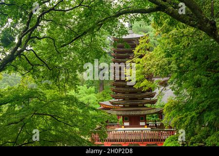 Nara, Japan - 01. Juli 2019: Tanzan Jinja Shrine 13-stöckige Pagode, die einzige existierende, Nara, Japan. Stockfoto