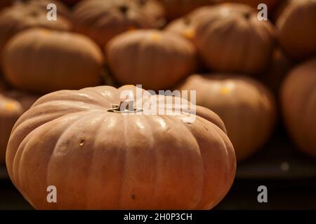 Kürbisse auf einem Bauernmarkt in Lancaster County, Pennsylvania, USA Stockfoto