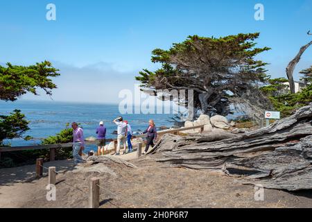 Usa. September 2021. Touristen sehen Bäume und den Pazifik entlang des 17 Mile Drive, Pebble Beach, Kalifornien, 4. September 2021. (Foto: Sftm/Gado/Sipa USA) Quelle: SIPA USA/Alamy Live News Stockfoto