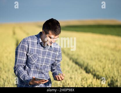 Junge hübsche Landwirtschaft Ingenieur hocken in Grünes Weizenfeld mit Tablet in Händen im Frühsommer Stockfoto