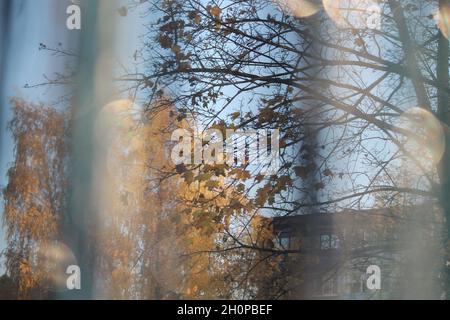 Schöner Herbst warm und sonnig in goldenem Laub Tag Panoramablick Stockfoto
