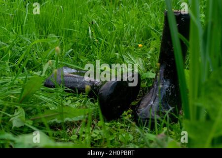 Ein Paar schwarze Gummistiefel im grünen Gras Stockfoto