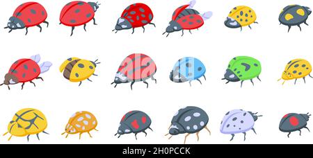 Insekten Marienkäfer Symbole setzen isometrischen Vektor. Kinderfliege. Insektenwanzen Stock Vektor