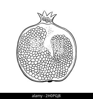 Granatapfel skizzieren isoliert auf weißem Hintergrund. Vektorgrafik. Stock Vektor