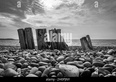 Graustufen Aufnahme von Holzstämmen Wellenbrecher auf einem Kiesstrand in der Dämmerung Stockfoto