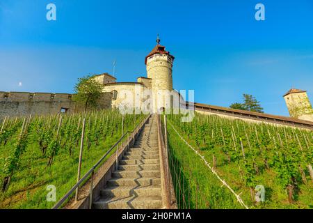 Festung Munot mit seinen Weinbergen im Kanton Schaffhausen. Panorama-terrassenförmig angelegte Weinberge der Stadt Schaffhausen. Am Oberrhein am See gelegen Stockfoto