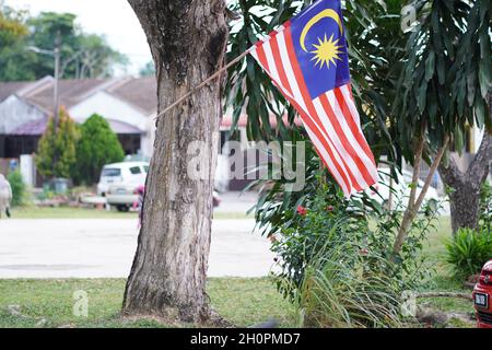 In Verbindung mit dem Unabhängigkeitsmonat Malaysia wurde eine Flagge Malaysias an einen Baum gebunden. Der Nationalfeiertag. Gantung bendera Stockfoto