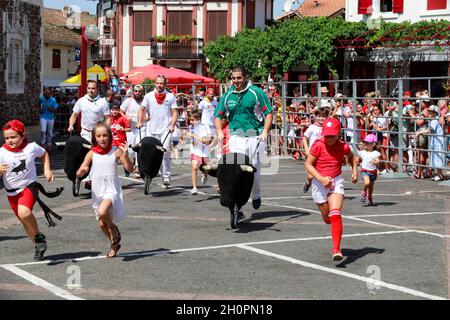 Stierlauf ('Encierro') für Kinder in Parentis en Born (Südwestfrankreich), während der Feria Stockfoto