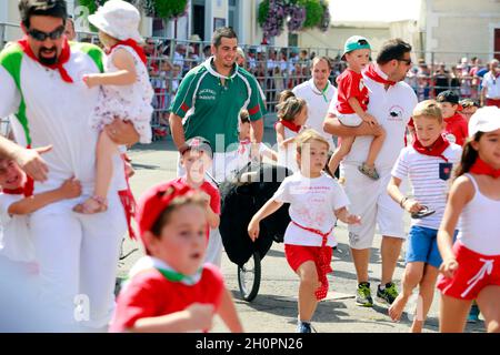 Stierlauf ('Encierro') für Kinder in Parentis en Born (Südwestfrankreich), während der Feria Stockfoto