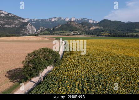Übersicht über das Vercors-Massiv aus Rochefort Samson (Südostfrankreich) Stockfoto