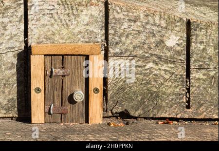 Kleine Miniatur-Holztür in Einem Log für Feen oder Fabelwesen, Großbritannien Stockfoto