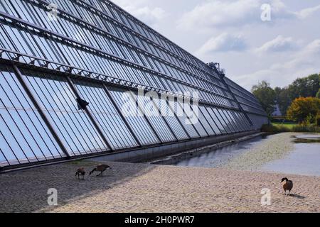 GELSENKIRCHEN, DEUTSCHLAND - 17. SEPTEMBER 2020: Wissenschaftspark Gelsenkirchen Konferenzzentrum, Büropark und Veranstaltungsort in Gelsenkirchen, Deutschland. Stockfoto