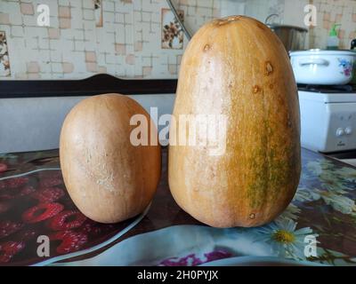 Zwei reife Kürbisse auf einem Tisch in einer Küche Stockfoto