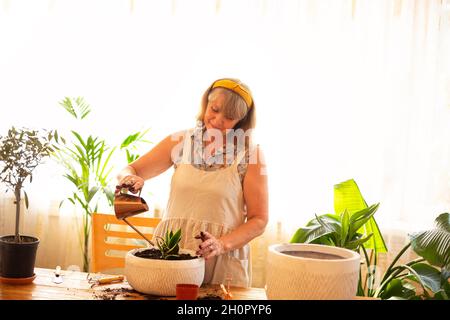 Lächelnde kaukasische ältere Frau im Vorfeld, die im Hausgarten arbeitet und sich um Zimmerpflanzen kümmert, pensionierte weibliche Bewässerung der Zimmerpflanze im Keramiktopf danach Stockfoto