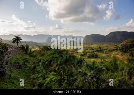 Panoramablick über die Landschaft mit Mogoten im Vinales-Tal, Kuba Stockfoto