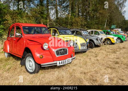 Reihe von Autos des Autos des Autos des Autos der Serie 2CV in Hampshire, Großbritannien, geparkt Stockfoto