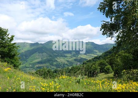 Das Jordanne-Tal von der Oberstadt Mandailles Saint Julien aus gesehen, im Cantal-Gebirge (Zentralfrankreich) Stockfoto