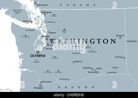 Washington, WA, graue politische Landkarte, mit Hauptstadt Olympia. Staat in der pazifischen Nordwestregion der westlichen Vereinigten Staaten von Amerika. Stockfoto