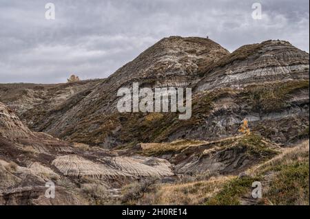 Horse Thief Canyon im Red Deer River Valley in der Nähe von Drumheller, Alberta, Kanada Stockfoto