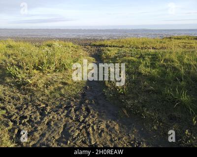 Küste der Nordsee unter einem blau bewölkten Himmel am Morgen in Dangast, Deutschland Stockfoto