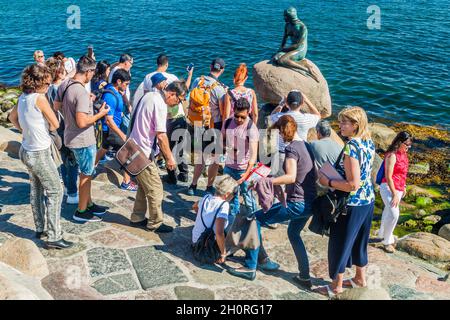 KOPENHAGEN, DÄNEMARK - 26. AUGUST 2016: Kleine Meerjungfrau-Statue, umgeben von einer Menge von Touristen, die in Kopenhagen, Dänemark, fotografieren Stockfoto