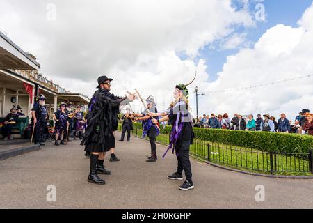 Black Swan Border Morris-Tänzer in ihrem schwarzen und mauvischen Kostüm tanzen auf dem jährlichen Broadstairs Folk Week Festival am Meer. Stockfoto