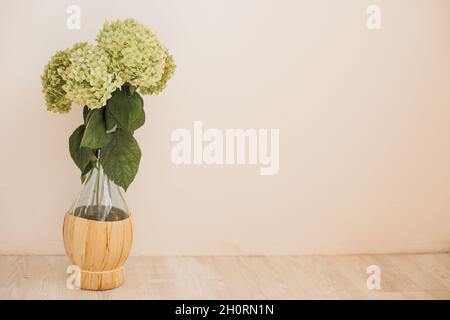 Bouquet von frischen grünen Hortensien in original Glasflasche auf hellem sedate Hintergrund steht auf Holzboden. Speicherplatz kopieren. Stockfoto