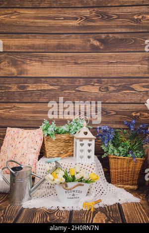 Fotobereich. Holzhintergrund mit Frühlingsdekoren aus Blumen in Holzkisten und Töpfen. Gelbe Tulpen, Metallwasserbehälter. Platz für Text kopieren Stockfoto