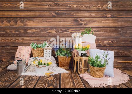 Fotobereich. Holzhintergrund mit Frühlingsdekoren aus Blumen in Holzkisten und Töpfen, Kissen. Gelbe Tulpen, Metallwasserbehälter. Platz für Text kopieren. Stockfoto